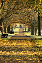 Victoria Park in Leicester, England。英格兰莱斯特维多利亚公园，是一处占地面积达69英亩的广阔公共园地。它处在莱斯特市中心的东南部，在莱斯特大学的背面，靠近莱斯特铁路站，是莱斯特最重要的户外活动区域之一。公园时常被用作许多公共户外活动的场地，比如，近年的BBC第一电台的“周末狂欢”、莱斯特加勒比狂欢节、莱斯特的骄傲等，是人们放松、狂欢的好去处。 #美景# #景点# #古镇#