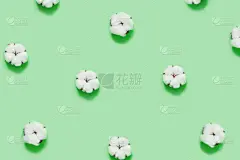 绿色背景,个人随身用品,零浪费,唇形科,数字0,背景分离,环境,塑胶,橙色,环境保护
