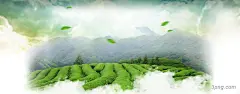 茶叶春天首页海报首页背景|茶叶|春天|绿色|清新|生态|天空|天猫|海报|首页|淘宝首页|淘宝首页广告|首页轮播|首页海报|淘宝首页大图秋天海报模板下载|天猫首页|淘宝家纺首页|首页设计|首页促销海报|店铺首页店招|淘宝首页背景|淘宝首页宣传|首页banner
