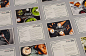 Top Creative Work On Behance : Showcase and discover creative work on the world's leading online platform for creative industries.