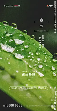 春分微信