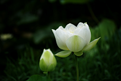 粟慧采集到想要