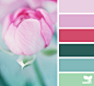 flora palette