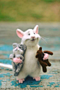Rat and cat Rat with fingers Rat and bear White rat Felt rat Doll rat Doll mouse Cute rat Cute mouse Rat and bear Mouse with fingers Cat Rat : MADE TO ORDER! Each new toys will be different, not like the previous one, with its own unique character.Please 