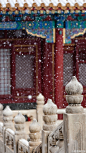 #紫禁城的初雪# 碎碎坠琼芳