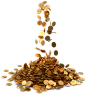 Pile of Gold Coins RUB