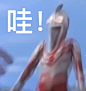 最新微博 - 首页 - 微博 _行走的表情包_T20211210 