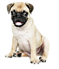 7c04eb803c8ca493ac58bee7cfb2786