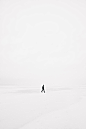 person walking on snowfield