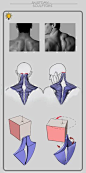 neck ✤ || CHARACTER DESIGN REFERENCES | Find more at https://www.facebook.com/CharacterDesignReferences if you're looking for: #line #art #character #design #model #sheet #illustration #expressions #best #concept #animation #drawing #archive #library #ref