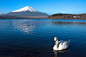 Photograph Mt Fuji & White Swan by Nonchai Trongsathidkul on 500px