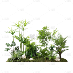 常规内容-植物系列写实感白色山茶花元素素材-花瓣网