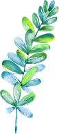 绿植草木花卉素材 (91)@北坤人素材