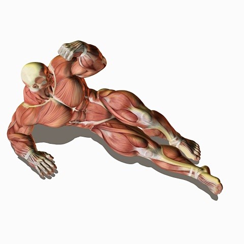 posemaniacs03ボディビル