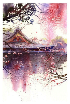 dsxyr采集到景象