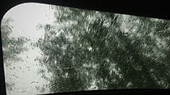 蓝色碎片采集到雨