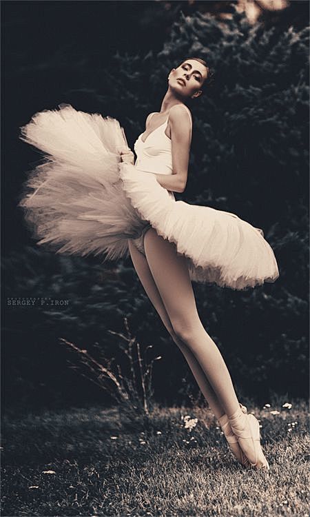 swan: 