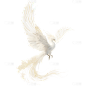 动物系列插画白银色凤凰