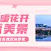 春天旅游踏青赏花可爱风公众号首图