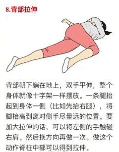 馋猫小姐采集到拉伸
