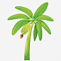 绿色的香蕉树png免抠素材_新图网 https://ixintu.com 香蕉树 绿色 手绘 植物 矢量图 装饰 png装饰 png图形