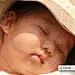 洛克本汀