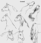 #绘画学习# 关于马的一些设计绘制画法参考！