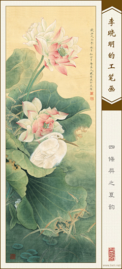 蒲公、英采集到临时1