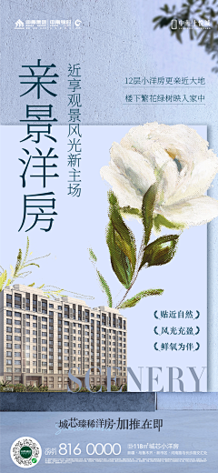 shamoon花采集到海报