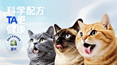 JamesPPT采集到常小二PPT