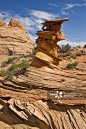 Sandstone formations in Coyote Buttes South, Paria Canyon Vermilion Cliffs Wilderness, Arizona, USA_创意图片