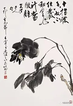 大师于希宁精品花鸟20幅！