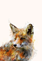 Abstrakter Fuchs – myposter Motivwelt #design #fuchs #herbst #trend #art #artsy #trendy #fox #whatdoesthefoxsay #kunst #einrichten #wohnen