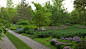 Naturalistic Garden