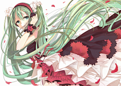 十目tt采集到初音ミク