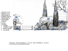 张小忙采集到植物配置