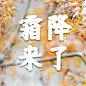 霜降节气祝福实景秋季公众号次图