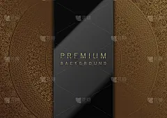 向量光泽黑色垂直矩形空间中心豪华金色曼陀罗暗金圆形图案。用于标识标题或封面。古铜色背景上的黑色玻璃框
