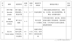 彗心呀采集到植物养护