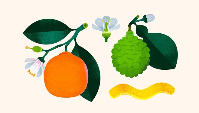 Botanicals citrus Fl...