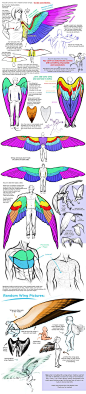 This is a good explanation of the correct anatomy of wings on people. Technically, winged people shouldn't have arms.: 