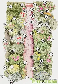 请把下面两张照片对应的植物帮我想下，我要设计一个花镜、不要求十分精确，颜色差不多就行！ - 搜狗问问
