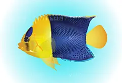 海底海洋生物海洋鱼类热带鱼多彩鱼类菜谱手绘插画ai矢量设计素材-淘宝网