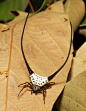 Long-horned Orb-weaver Spider (Macracantha arcuata)