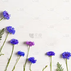 漂亮的蓝紫花架平躺在白色的木桌上，临摹空间，俯视图