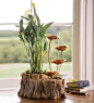 Beautiful sights and sounds of nature come together in this delightful Tabletop Fountain with Planter. Water trickles down four brass-colored metal bowls into the rock-filled base.