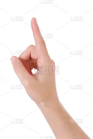 手,白色,食指,垂直画幅,女人,拳头,手背,白色背景,人,人群