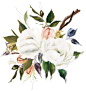 包装植物花朵美容水彩花卉婚礼邀请卡PNG免抠图设计素材 (1)