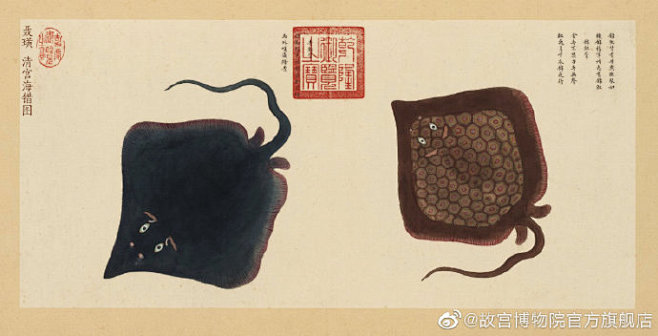 《海错图》中和鲨鱼共存的“魔鬼鱼”——魟...