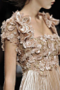 Elie Saab Automne-Hiver 2008